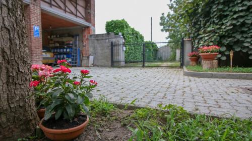 a pot of red flowers sitting next to a brick sidewalk at Spighe Paglia e Girasole in Candia Canavese