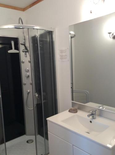 W łazience znajduje się prysznic, umywalka i lustro. w obiekcie Gite de Cerisier w mieście Saint-Nicolas-de-la-Grave