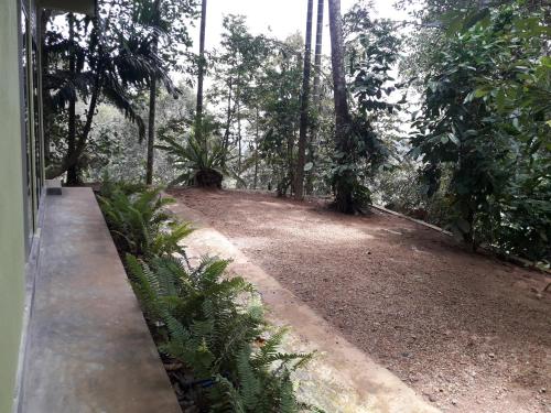 a garden with palm trees and a dirt road at Sinharaja Kurulu Ella Eco Resort in Deniyaya