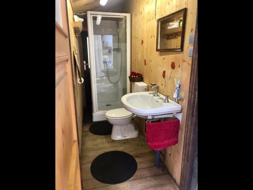 a small bathroom with a toilet and a sink at Knottn Hüttl, St. Pankraz/Ulten, Nähe Meran in San Pancrazio dʼUltimo
