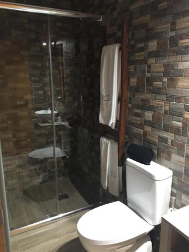 a bathroom with a toilet and a shower at Casas no Terreiro in Penacova