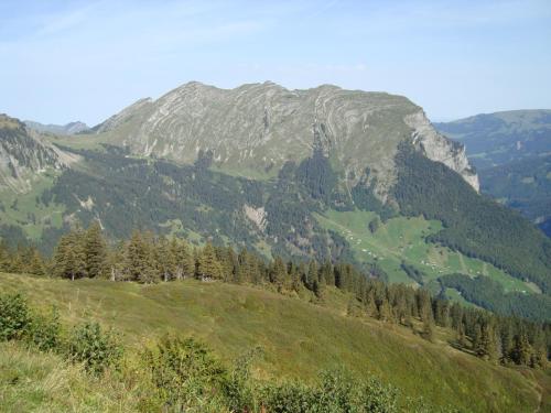 a view of a mountain with trees on a hill at Ferienbauernhof Beer in Schoppernau