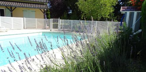 Swimmingpoolen hos eller tæt på le Relais des Tuileries