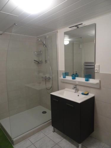 W łazience znajduje się prysznic, umywalka i lustro. w obiekcie Gite de la Melch w mieście Reipertswiller