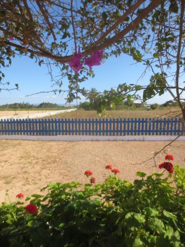 a fence with red flowers in a yard at Casa Rural Ideal para Parejas - Formentera in Sant Francesc Xavier