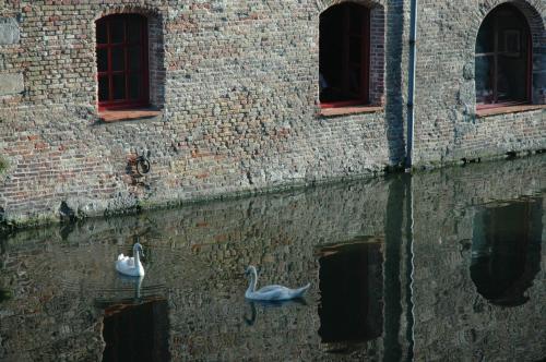 two swans swimming in the water next to a brick building at Hotel Ter Brughe by CW Hotel Collection in Bruges