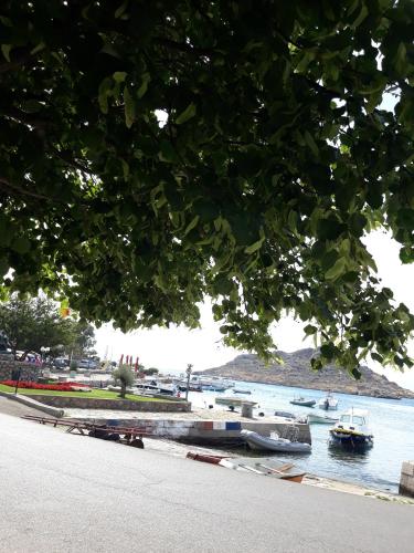 a group of boats are docked in a body of water at Apartments Klara in Sveti Juraj