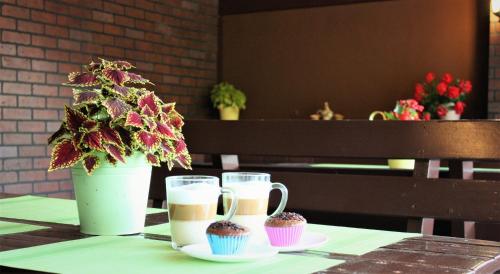 a table with two cups of coffee and a potted plant at Silva House in Deva
