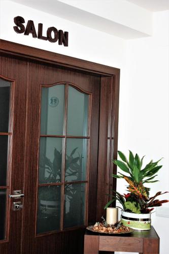 a building with a glass door with a plant on a table at Silva House in Deva
