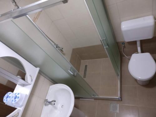 La salle de bains est pourvue de toilettes, d'un lavabo et d'un miroir. dans l'établissement Garden Guesthouse, à Gjakove