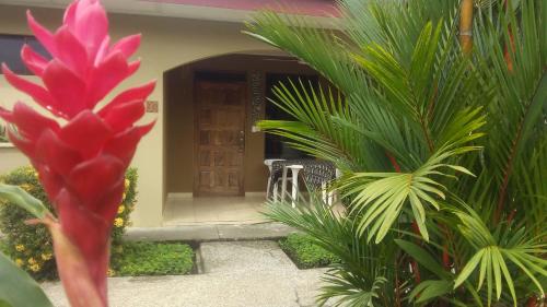 a red flower in front of a house with plants at Villa Creole in Jacó