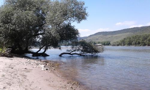 Φυσικό τοπίο κοντά σε αυτό το διαμέρισμα