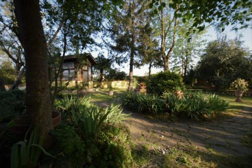 a garden with a house and trees and plants at Le Mimose B&B in Vinci