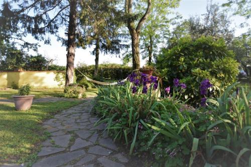 a garden with purple flowers and a path at Le Mimose B&B in Vinci