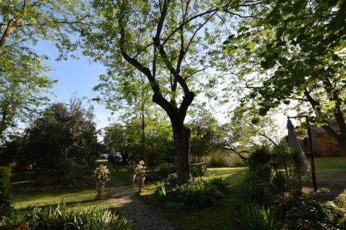 two people walking down a path in a garden at Le Mimose B&B in Vinci
