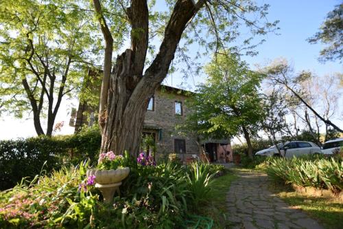 Le Mimose B&B في فينشي: شجرة وورود أمام المنزل