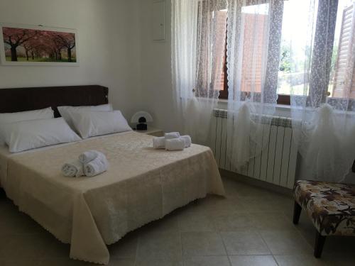La casa di Colino e Annina photo 2