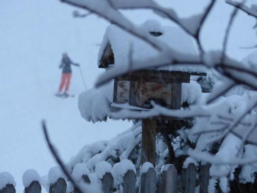a person on skis in the snow next to a bird house at Hotel Garni Zerzer in Serfaus
