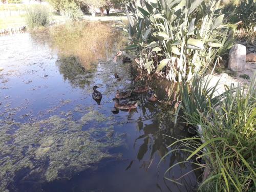 Vista de un río cerca de este departamento