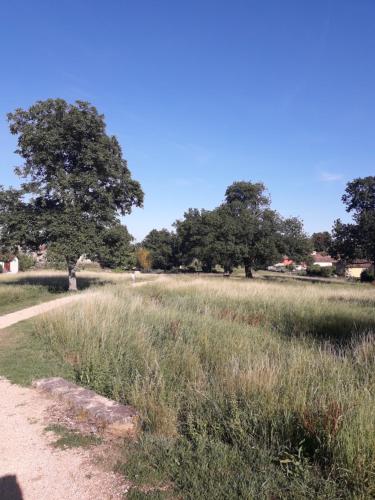 Un paisaje natural cerca del departamento