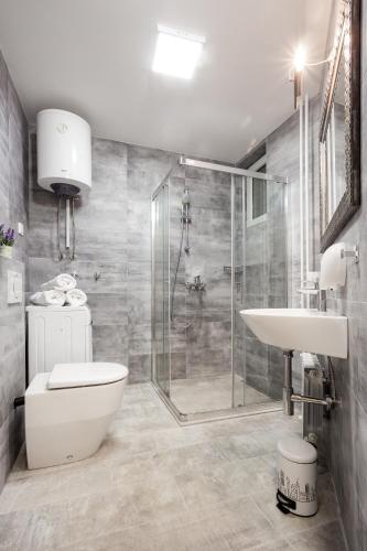Un baño con ducha, inodoro y lavabo. en Apartment Eugen II, en Novi Sad