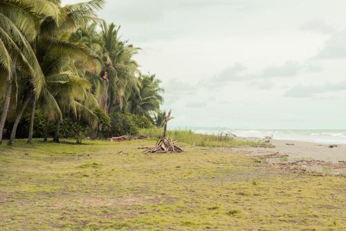 a group of palm trees on a sandy beach at Hotel Delfin Playa Bejuco in Esterillos Este