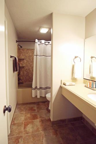 a bathroom with a shower and a sink and a toilet at Hidden Canyon Retreat in Baker