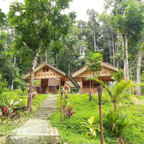 a house in the woods with a path leading to it at Victordelia Hilltop Hostel in San Vicente