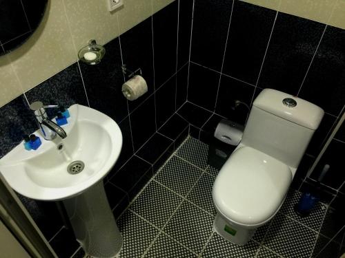 KhorogZarya Hotel的配有白色马桶和水槽的浴室