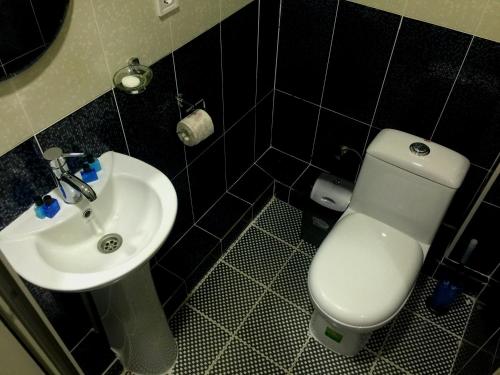 a bathroom with a white toilet and a sink at Zarya Hotel in Khorog