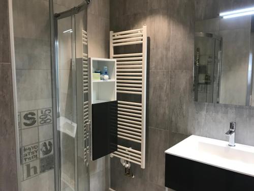 La salle de bains est pourvue d'une douche, d'un lavabo et d'un miroir. dans l'établissement VILLA 87 - AY CHAMPAGNE, à Ay
