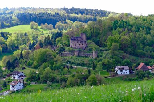 an old castle on a hill with houses and trees at Hotel Grüner Baum mit Restaurant & Wellness in Beerfelden
