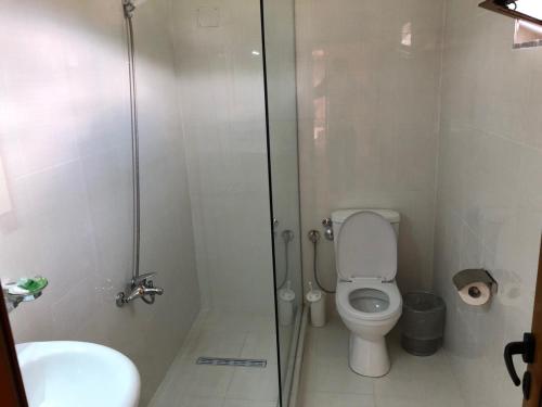 a bathroom with a shower and a toilet and a sink at Hotel EDEA in Korçë