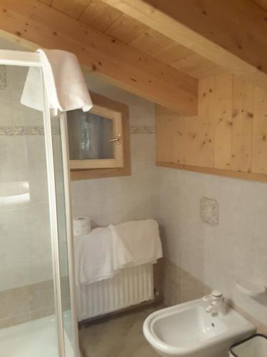 bagno con doccia e lavandino di Chalet Brigitte B&B ad Arabba