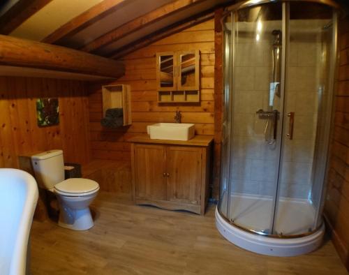 A bathroom at Chalet Des Sangliers