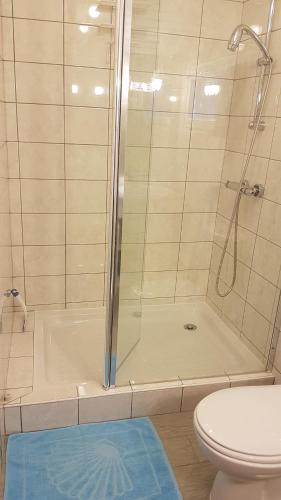 y baño con ducha y aseo. en Bungalow de Kermoal en Trébrivan