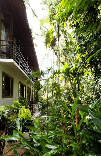 a house in the jungle with trees and plants at Estalagem Camburi in Camburi