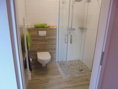 uma casa de banho com um WC e uma cabina de duche em vidro. em Holstenhof"garni" em Schmalfeld