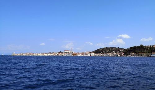 a large body of water with a city in the background at Studio Carmen in Piran