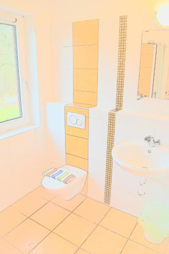 a bathroom with a toilet and a sink at Penzion Slunečno in Dobšín