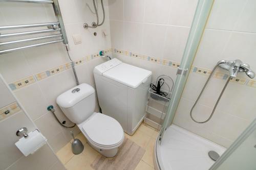 a bathroom with a toilet and a shower at Apartment Stella Maris in Herceg-Novi