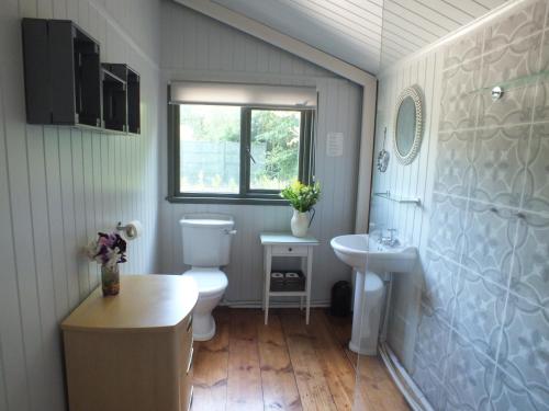 baño con aseo y lavabo y ventana en The Potting Shed And The Garden Shed Self Catering, en Carmarthen