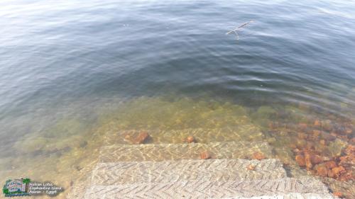 a view of the water with a bird flying over it at Nubian Lotus in Aswan