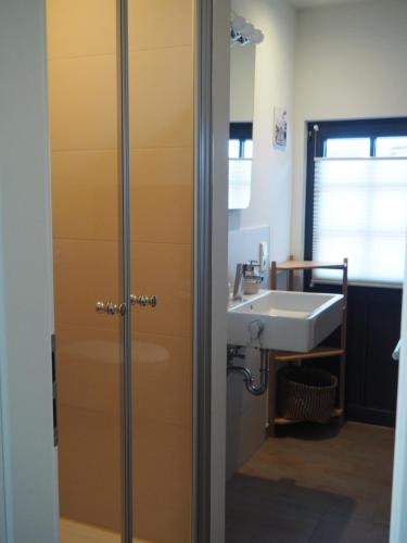 a bathroom with a shower and a sink at Uferlos in Radebeul