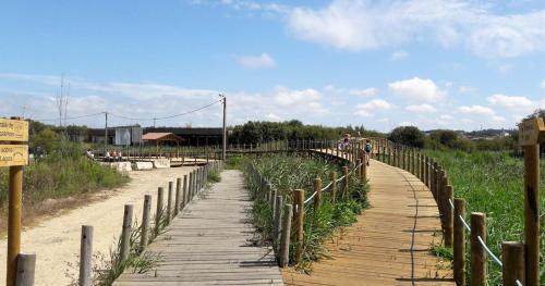 a wooden walkway through a field of plants at Sun, Sky and Sea in Esmoriz