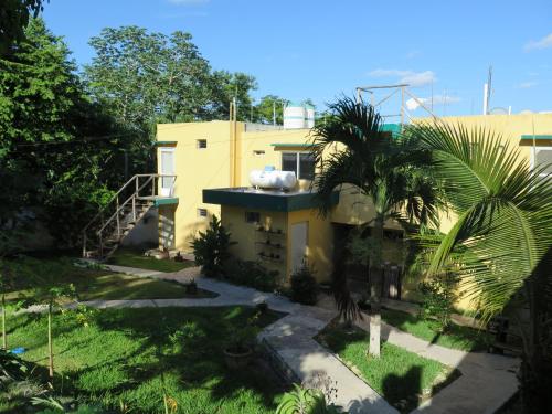 a yellow house with a palm tree in front of it at Amigos Hotelito in Bacalar