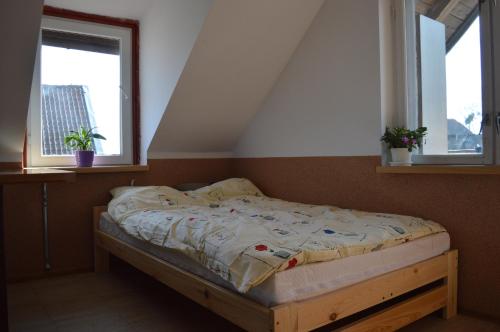 a bed in a room with two windows at Agroturystyka 'Pod dębem' in Giżycko