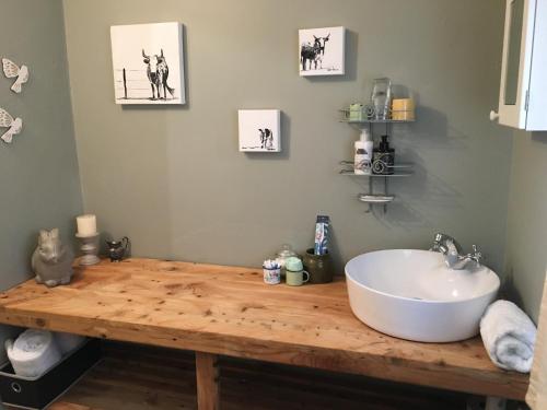 a bathroom with a wooden counter with a sink at Old Balgowan Farm Cottage in Balgowan