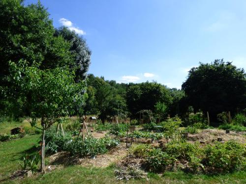a garden with trees and plants in a field at Au Son du Jardin Poitevin in Saint-Laurs
