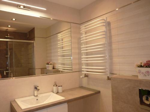Een badkamer bij Apartament Hevelius